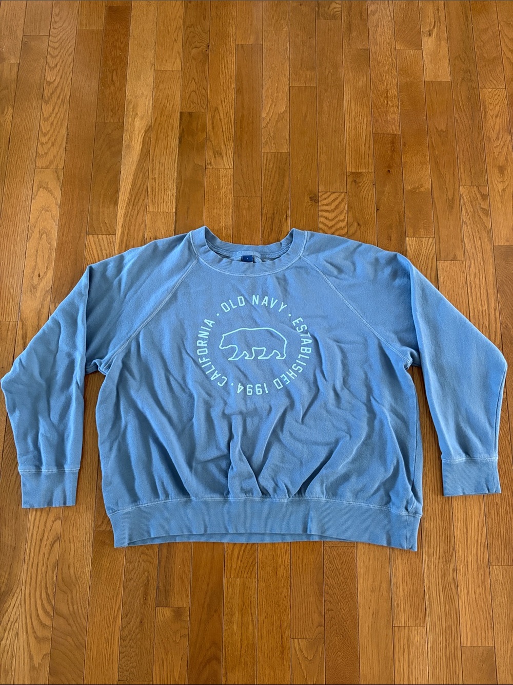 Old Navy Sky Blue Crewneck Sweatshirt with Bear Graphic size Large